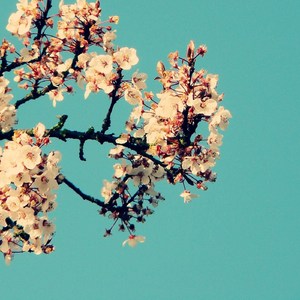 高芳高洁姐妹俩最新章节更新时间
