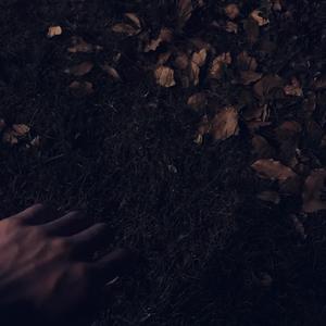 高芳高洁姐妹俩最新章节更新时间
