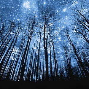 高芳高洁姐妹俩最新章节更新时间
